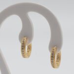 Brinco Argola Cravejada com Zircônia Cristal Médio Banhado em Ouro 18K