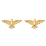 Brinco Espírito Santo Banhado em Ouro 18K