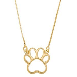 Colar Pata Vazada Banhado em Ouro 18K